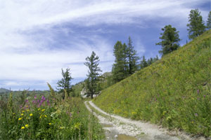 Der &Ouml;sterreichische Weg im Altai