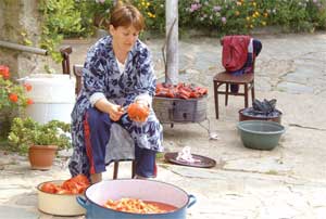 Grundnahrungsmittel Paprika