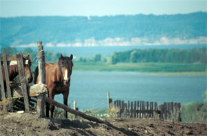 Bauern an der Volga
