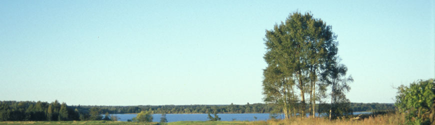 Landschaft im Baltikum